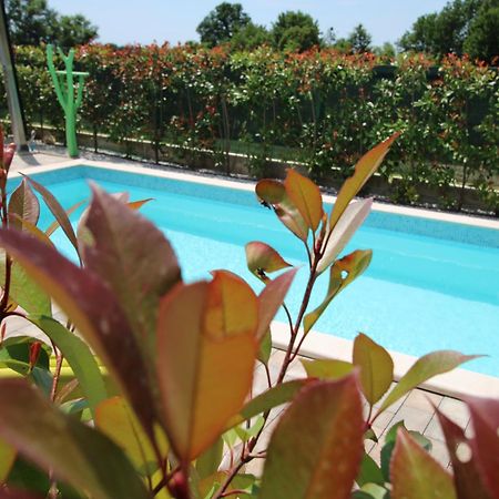 Apartments Green Garden Labinci ภายนอก รูปภาพ