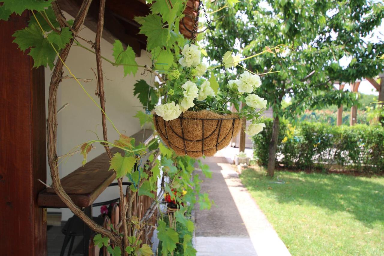 Apartments Green Garden Labinci ภายนอก รูปภาพ